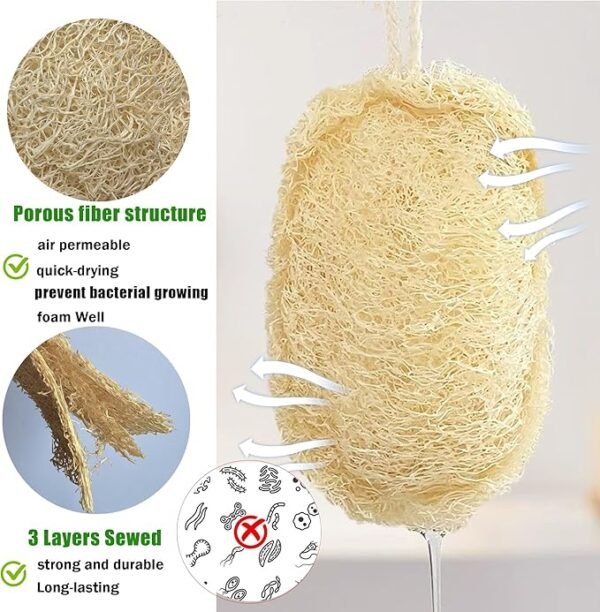 Large Natural Dish Scrubber, Loofah Dishwashing Sponge (6 Pcs), No Scratch for Dish, Large Size 5.2"L*3.2"W, Loofah Plant Kitchen Eco-Scrubber, Zero Waste and Eco Friendly Sponges, Unbleached.