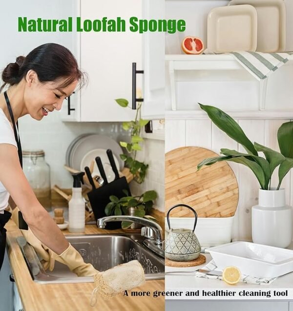 Large Natural Dish Scrubber, Loofah Dishwashing Sponge (6 Pcs), No Scratch for Dish, Large Size 5.2"L*3.2"W, Loofah Plant Kitchen Eco-Scrubber, Zero Waste and Eco Friendly Sponges, Unbleached.